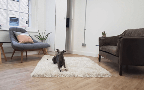 interior of SpareRoom's London office